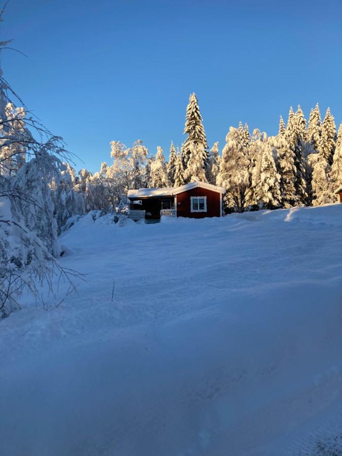 Baervallen 388 Селен Екстер'єр фото